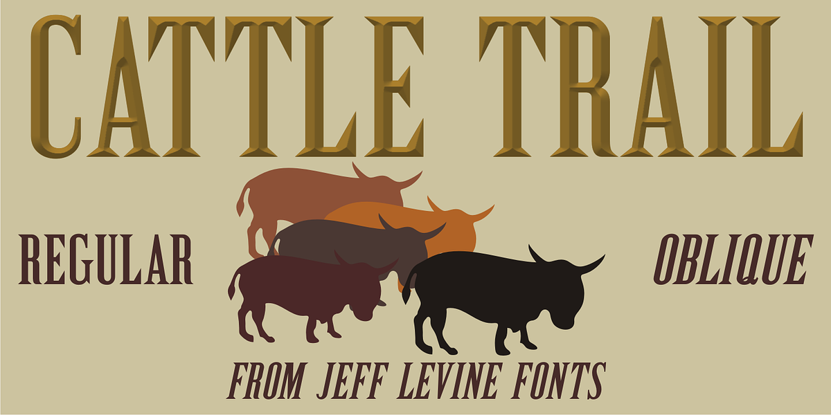 Cattle Trail JNL, a Serif Font by Jeff Levine Fonts