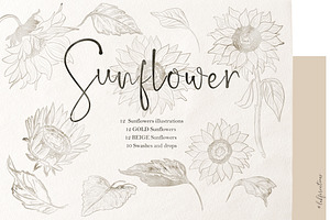 Sunflowers. Sketch Outline Art