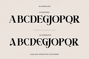 Caelvin – Modern Editorial Serif, a Serif Font by Muksal Creative (Thumbnail 6 of 10)
