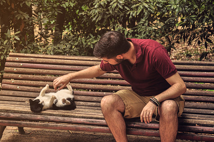 A man playing with a cat
