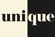 NT Josefine, a Serif Font by nevsky.type (Thumbnail 8 of 15)