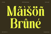 CS Susan – Classic Serif Font, a Serif Font by Craft Supply Co. (Thumbnail 6 of 8)