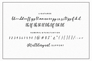 Martinesse - Beautiful Script Font, a Script Font by Sronstudio (Thumbnail 14 of 14)