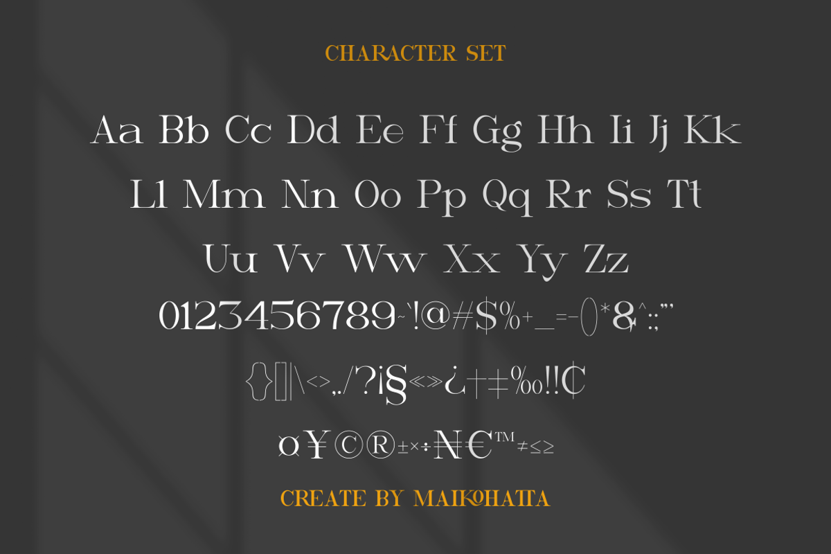 Verietta - Modern Serif Typeface, a Serif Font by MaikoHatta (Photo 6 of 8)
