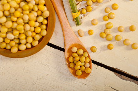 organic soya beans, a Food & Drink Photo by keko64