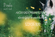 Poule Serif Rustic Font, a Serif Font by LABFcreations (Thumbnail 11 of 16)