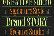 Shliterin Elegant Condensed Serif, a Serif Font by timelesstype.co (Thumbnail 10 of 15)