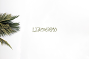 Belarak Coconut Font, a Script Font by Erifqizefont (Thumbnail 3 of 5)