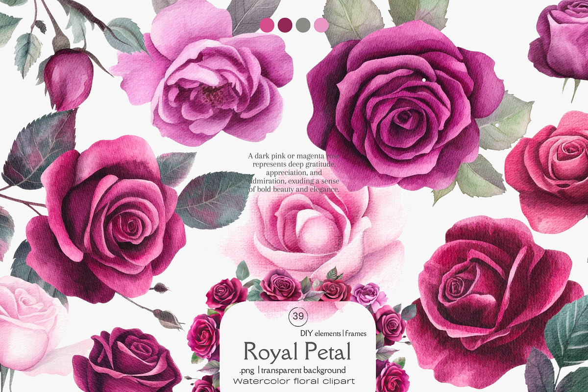 magenta roses royal petals png set, a Decorative Illustration by ...