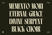 Leonice - Display Font, a Font by Eotype Studio (Thumbnail 6 of 12)