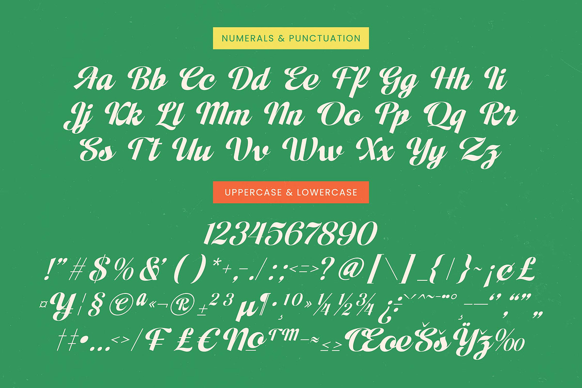 Adjust Ranch Retro Script Logo, a Script Font by timelesstype.co (Photo 19 of 20)