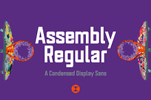 Assembly Regular - Display Font