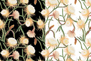 Watercolor Queen of the night flower, a Pattern Graphic by ramika (Thumbnail 4 of 4)