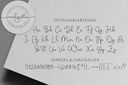 Malgosha Script, a Script Font by moriztype (Thumbnail 15 of 21)