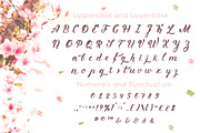 Primavera is handwritten brush font, a Script Font by Anna Zakharchenko (Thumbnail 6 of 10)