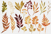 Botanical Bundle Nr 2 | Fall Edition, a Seasonal Illustration by Helga Wigandt (Thumbnail 3 of 9)