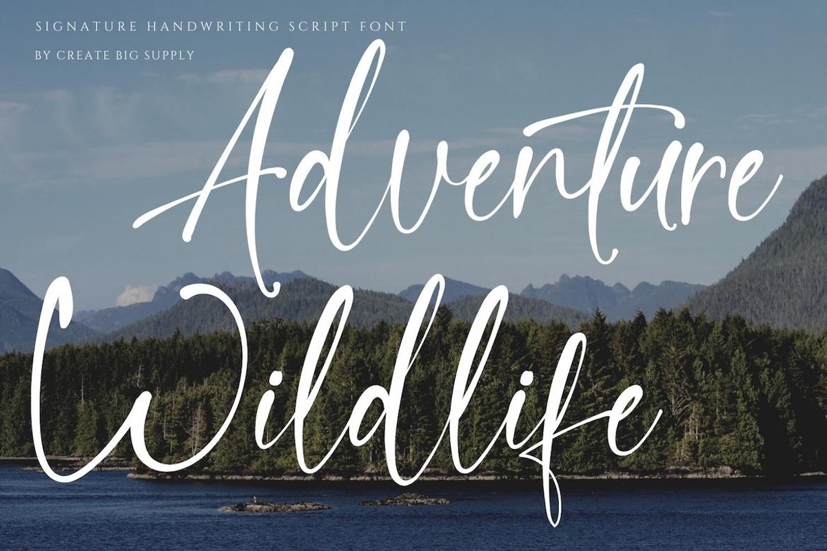 Quillia - Bold Signature Handwriting, a Handwritten Font by CreateBigSupply (Photo 9 of 10)