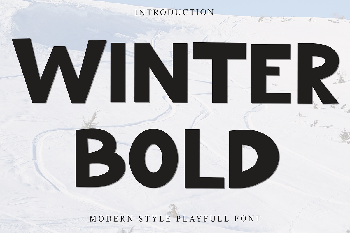 Winter Bold, a Sans Serif Font by FreshTypeINK (Photo 2 of 8)