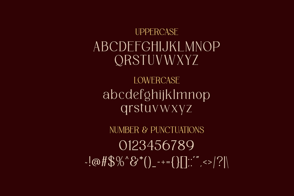 Saint Paris - Elegant Serif Typeface, a Serif Font by AN Productions (Photo 3 of 9)
