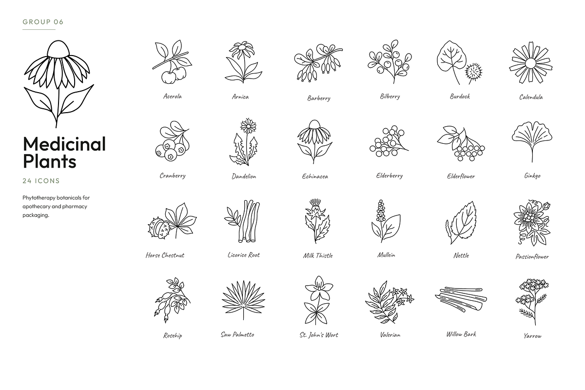 180 Botanical Ingredient Line Icons, an Outline Icon by Ilia Design (Photo 8 of 13)