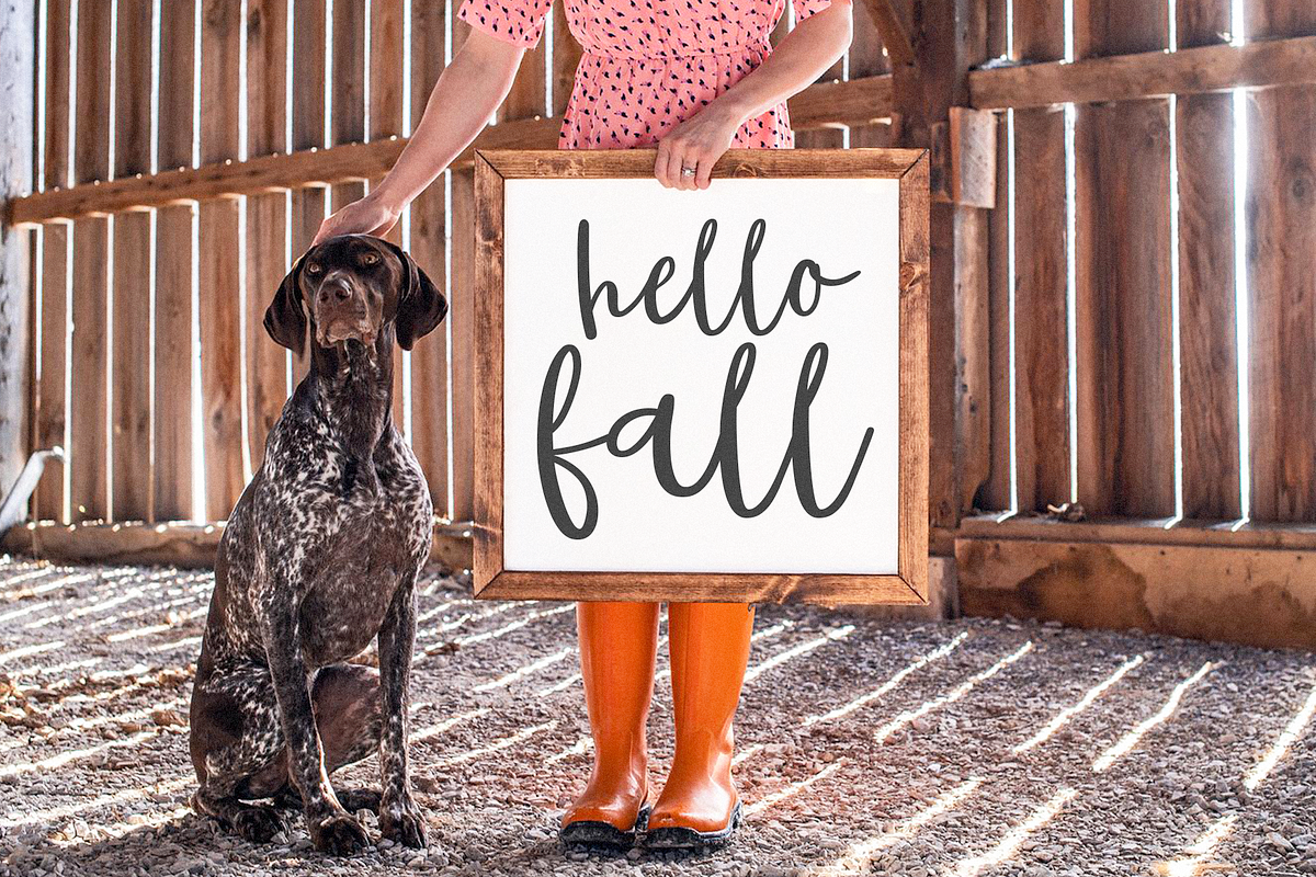 Sugar Market | Farmhouse Script Font, a Script Font by KA Designs (Photo 4 of 10)