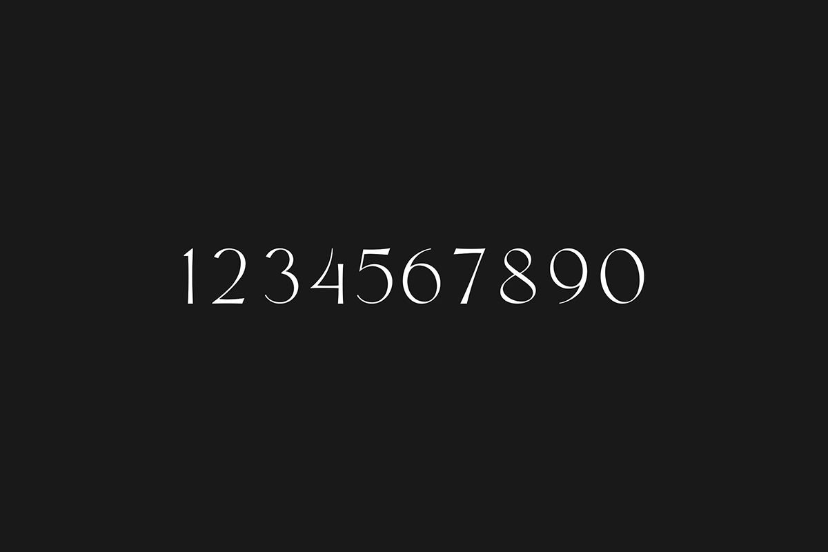 Lektocy modern sans serif font, a Sans Serif Font by TiveCreate (Photo 9 of 10)