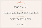 Mailton Typeface, a Serif Font by alit design (Thumbnail 4 of 23)