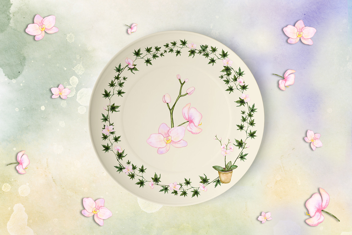 Houseplants Watercolor Collection, a Decorative Illustration by Aurella Art (Photo 11 of 15)