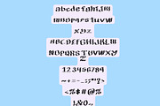 NEW WAVE a modern wave Display font, a Handwritten Font by Eryn Rose Design (Thumbnail 8 of 12)