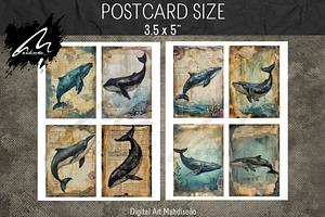 Shabby Grunge Whale Papers