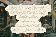 Golgen Vows Playful Wedding Script, a Script Font by Nonceni (Thumbnail 6 of 12)