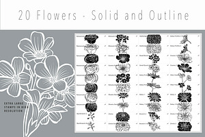 Floral Procreate Stamp Brushes 5