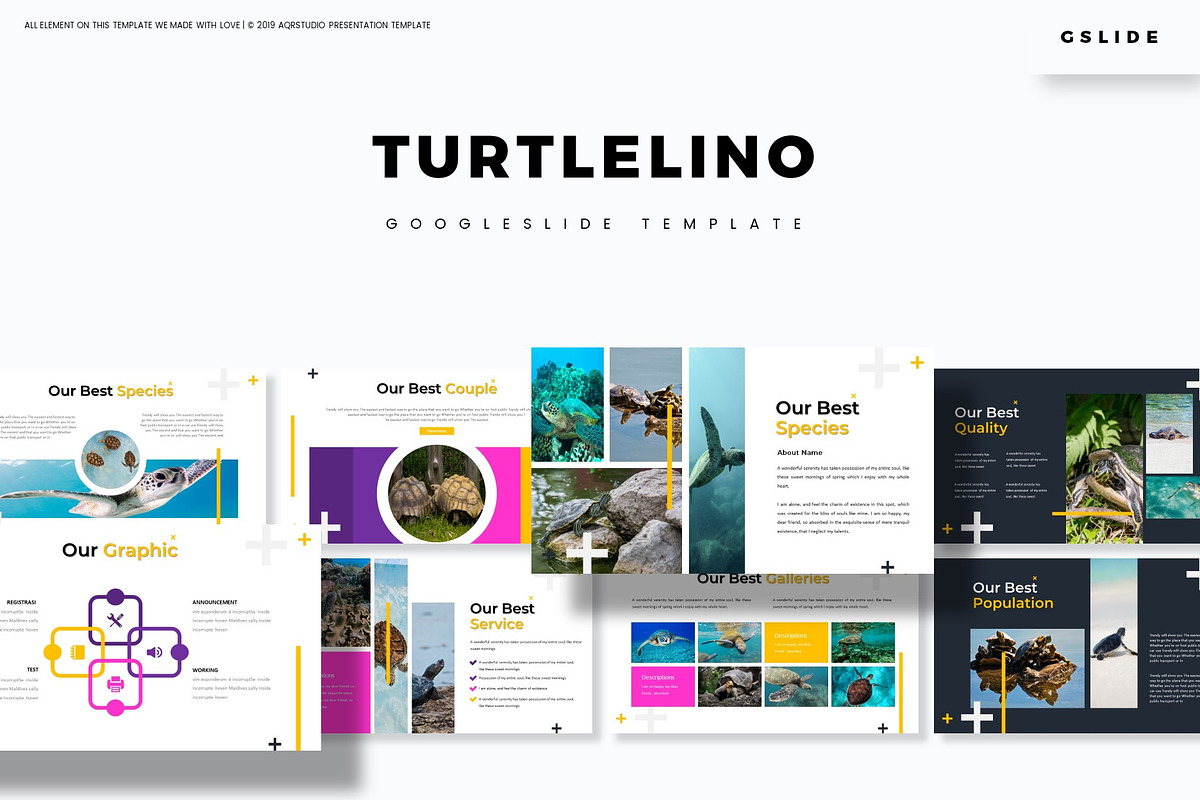 Turtlelino - Google Slides Template, a Presentation Template by AQR Studio