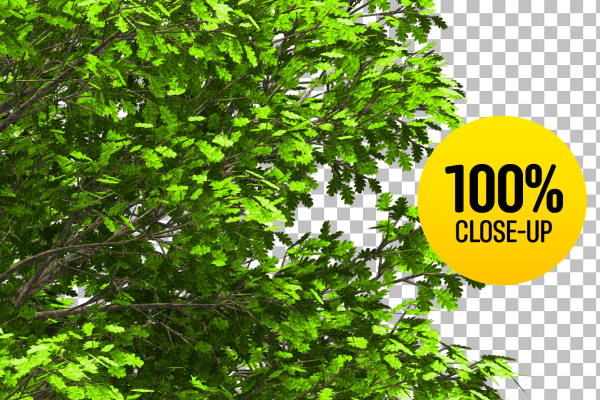 CUT OUT ENGLISH OAK TREE, a Mask Mockup by 3DSTORE (Photo 3 of 4)