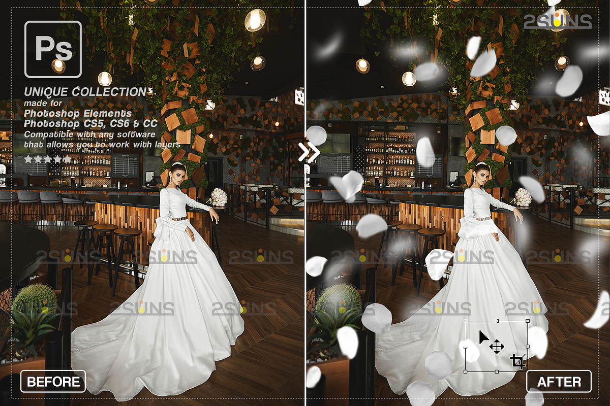 White Rose Petals photo overlays, an Object Graphic by 2SUNS (Photo 7 of 9)
