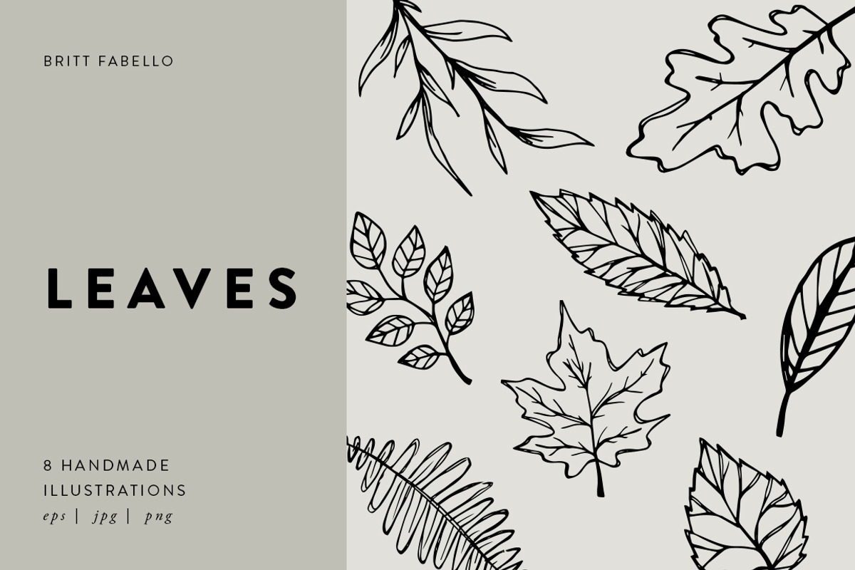 Hand-Illustrated Leaf Vectors, an Illustration by Britt Fabello (Photo 1 of 5)