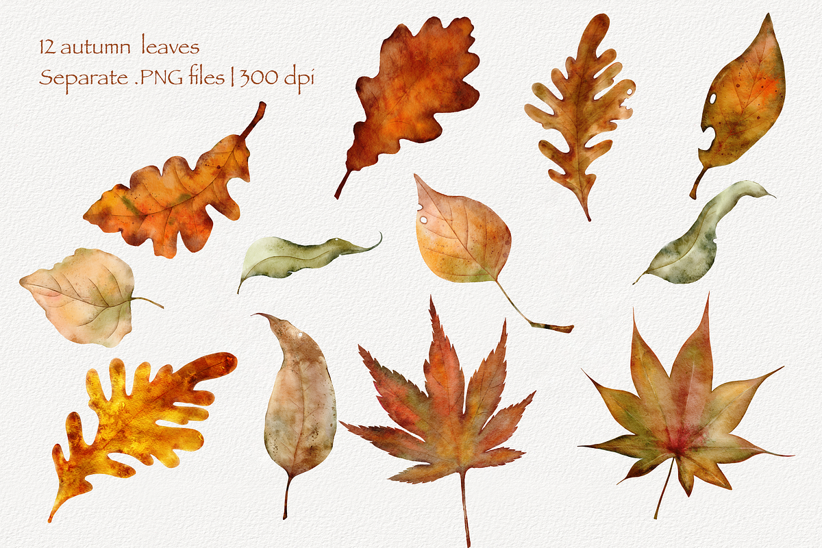 Cozy Autumn Set, a Decorative Illustration by Aurella Art (Photo 3 of 18)