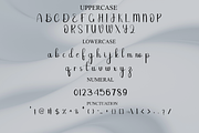 Sunday, a Handwritten Font by FreshTypeINK (Thumbnail 4 of 8)