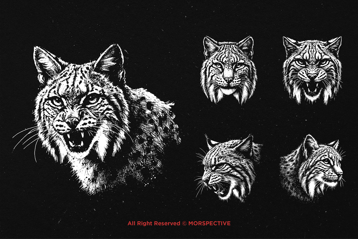 10 Bundle Dark Art Bobcat Lynx Tiger, an Illustration by Morspective (Photo 3 of 7)