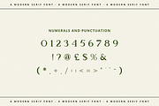 Bookinnes - Business Font, a Serif Font by RockboyStd (Thumbnail 10 of 12)