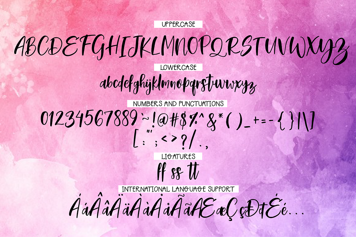 Morning Glory Font Duo preview 7