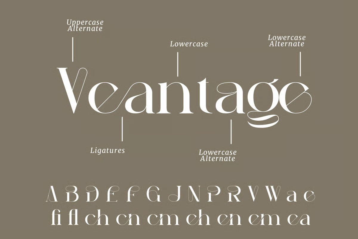Peagen - Elegant Stylish Serif, a Serif Font by Brand Earth (Photo 3 of 12)