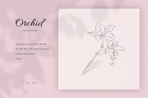 Orchid #19. Line Art Illustration, a Decorative Illustration by lapi-olesya