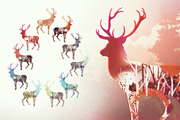 Let`s go Camping, a Person Illustration by Gluiki (Thumbnail 5 of 13)