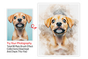 Custom Watercolor Pet Template, an Action Add-On by MRI STUDIO (Thumbnail 8 of 23)