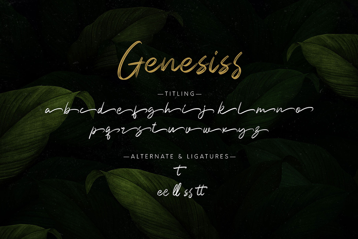 Genesiss, a Script Font by Omotu Studio (Photo 11 of 12)