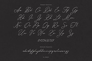 Silver Thread Textured Script Font, a Script Font by AnMark (Thumbnail 5 of 10)