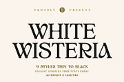 White Wisteria Fonts Family, a Serif Font by Asenbayu (Thumbnail 1 of 13)