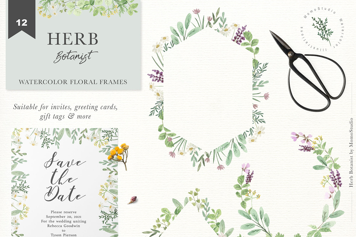 HERB BOTANIST watercolor clipart, a Decorative Illustration by Momo Studio (Photo 10 of 15)
