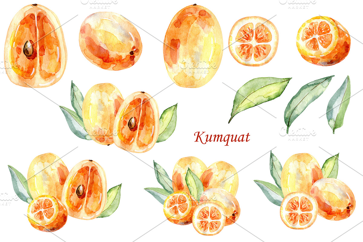 Watercolor tropical fruits., an Illustration by TaPilipa (Photo 19 of 39)
